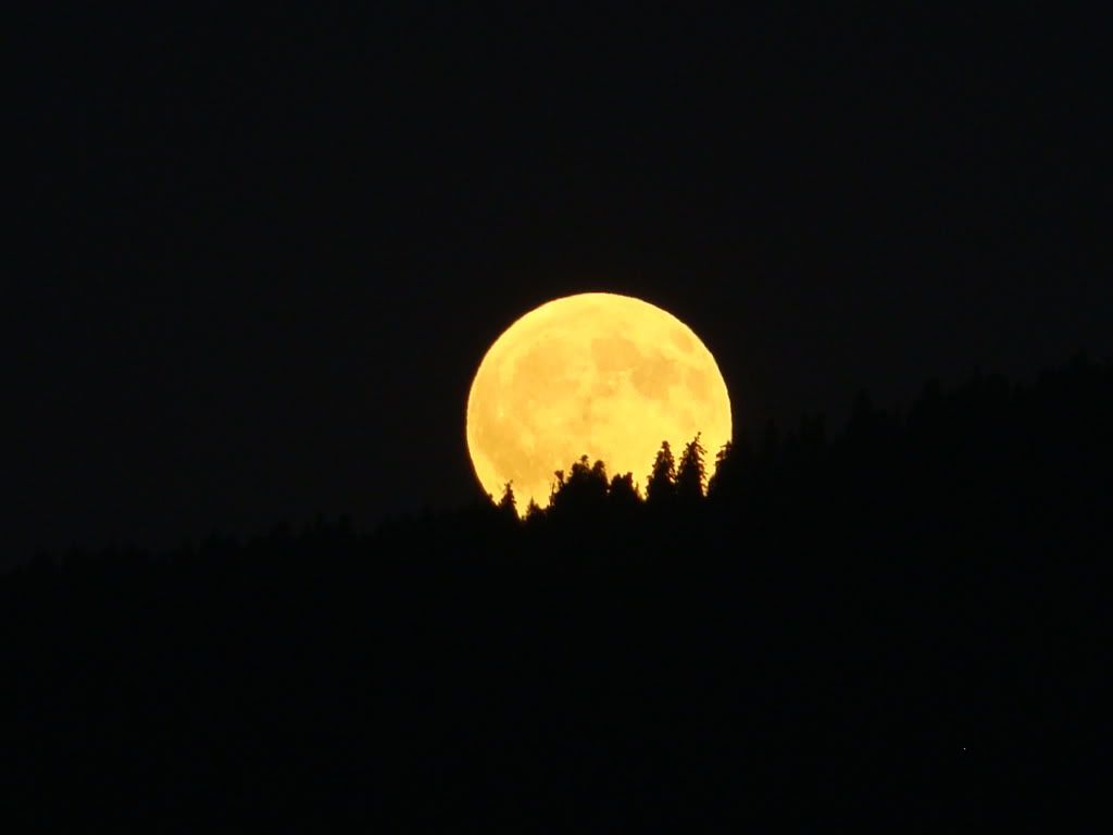 Full-moon Aug 08 - spooky Pictures, Images and Photos