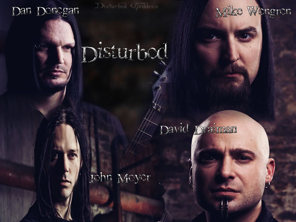 disturbed