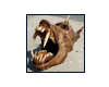 http://i498.photobucket.com/albums/rr344/stargate_forum/kriptozoologija.png