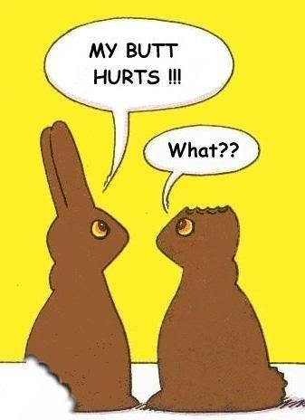 funny easter bunny pics. funny easter sayings