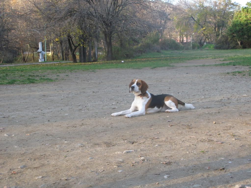 Качена снимка