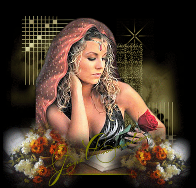 ciganos Pictures, Images and Photos