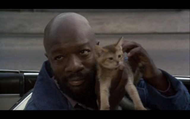 Isaac Hayes & cat