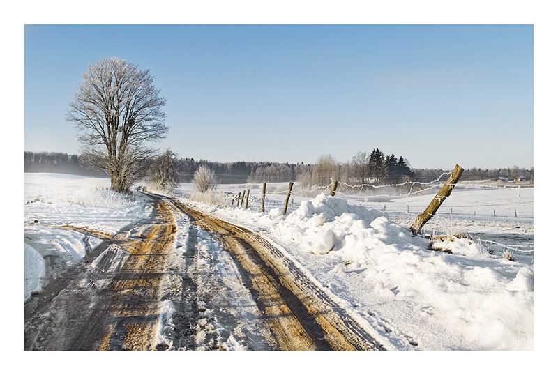 Dołączona grafika