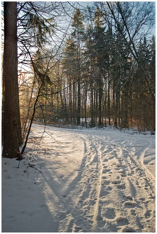 Dołączona grafika