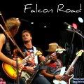 falconroad-1.jpg