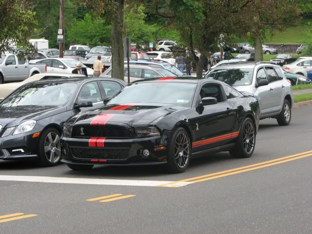 Shelby Stang