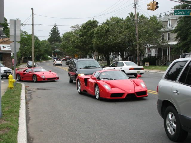 Enzo and F40