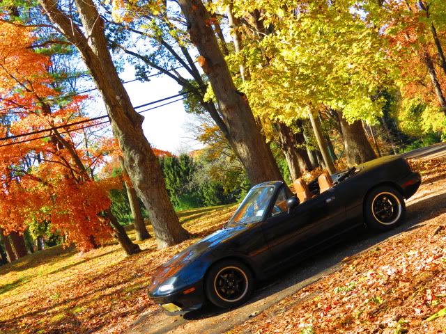 My Miata