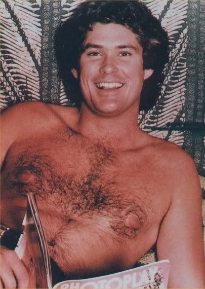 David-Hasselhoff-3.jpg