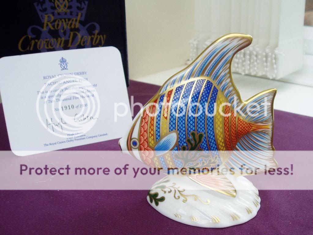 Royal Crown Derby * Pacific Angel Fish *  