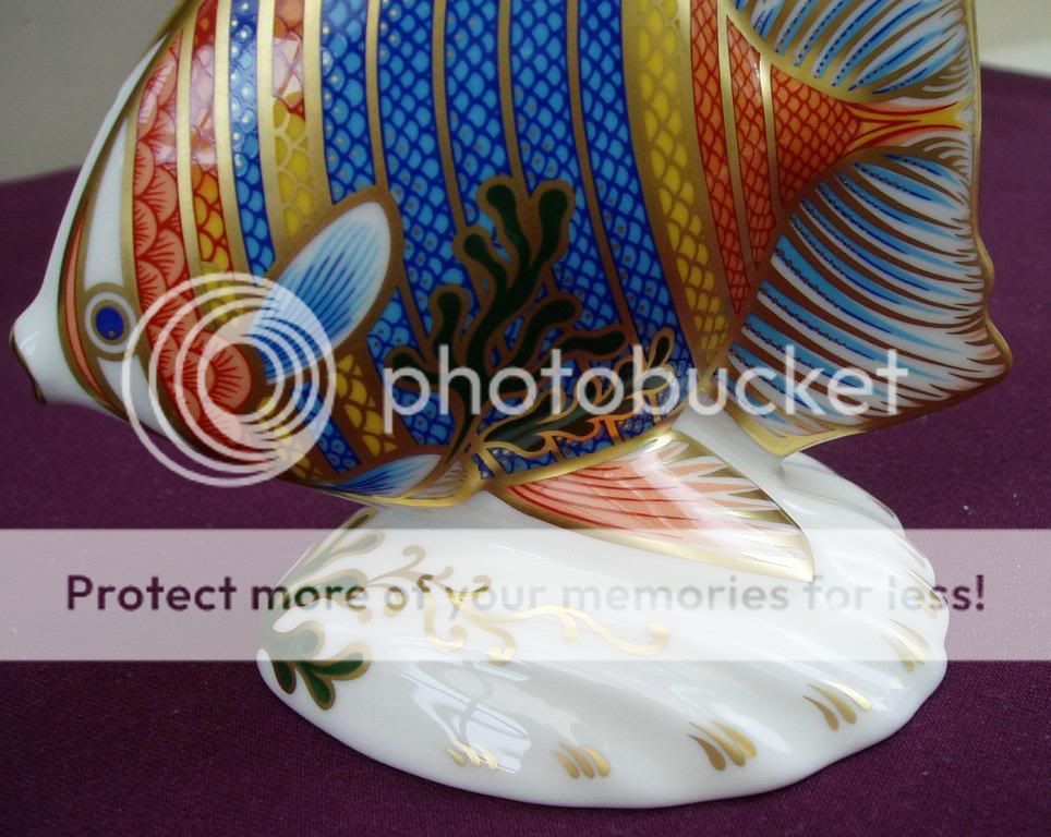 Royal Crown Derby * Pacific Angel Fish *  