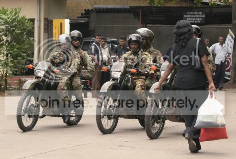 STF7.jpg